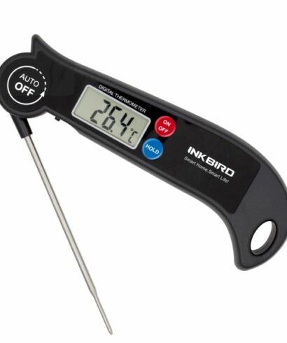 Einstech Thermometer 1