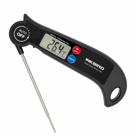 Einstech Thermometer 1