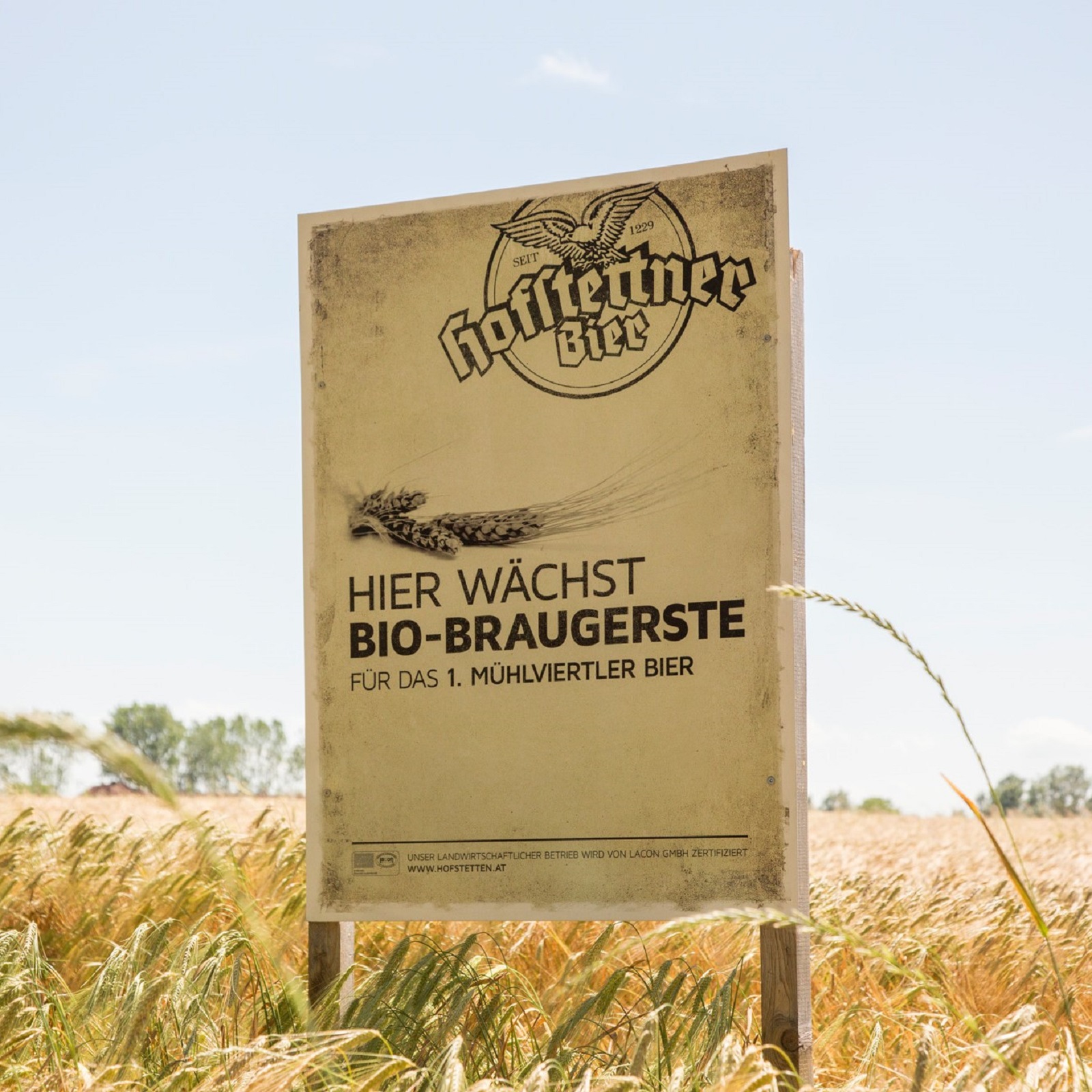 M-hlviertler-Braugersten-Landwiwrte-2 Mühlviertler Braugersten Landwiwrte (2)